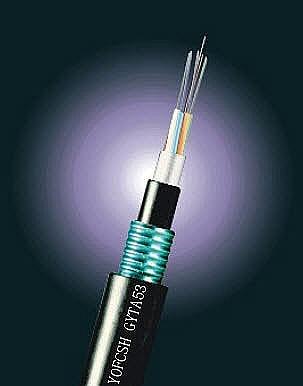 埋地光缆电子标识